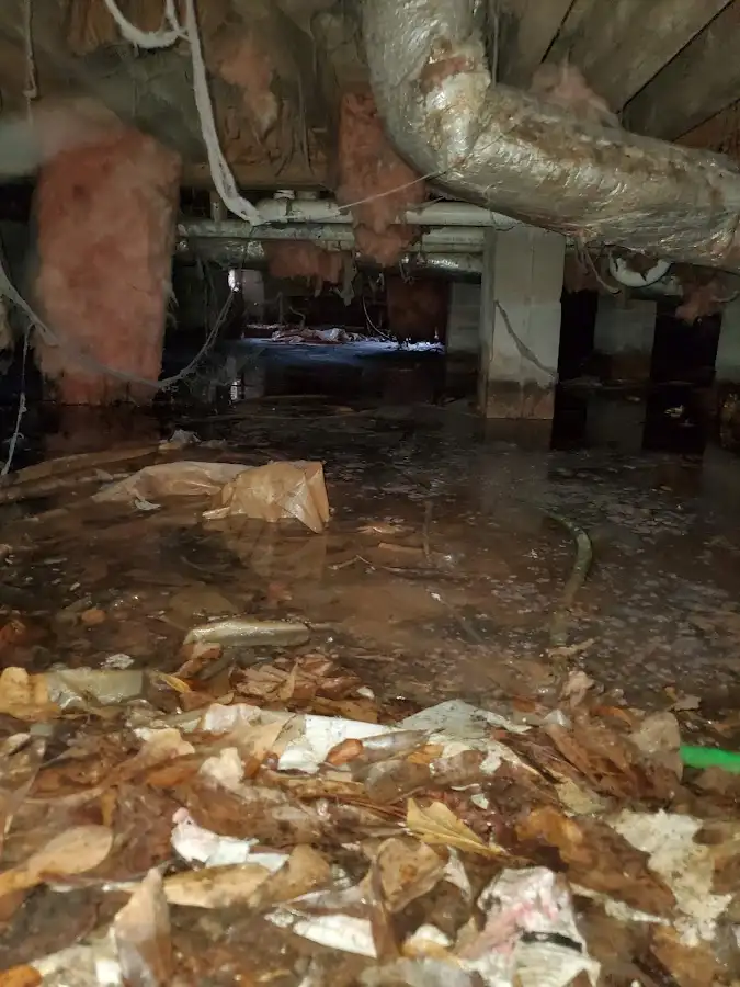 Crawl space flood assessment for Commercial Water Damage Restoration in Thornbury