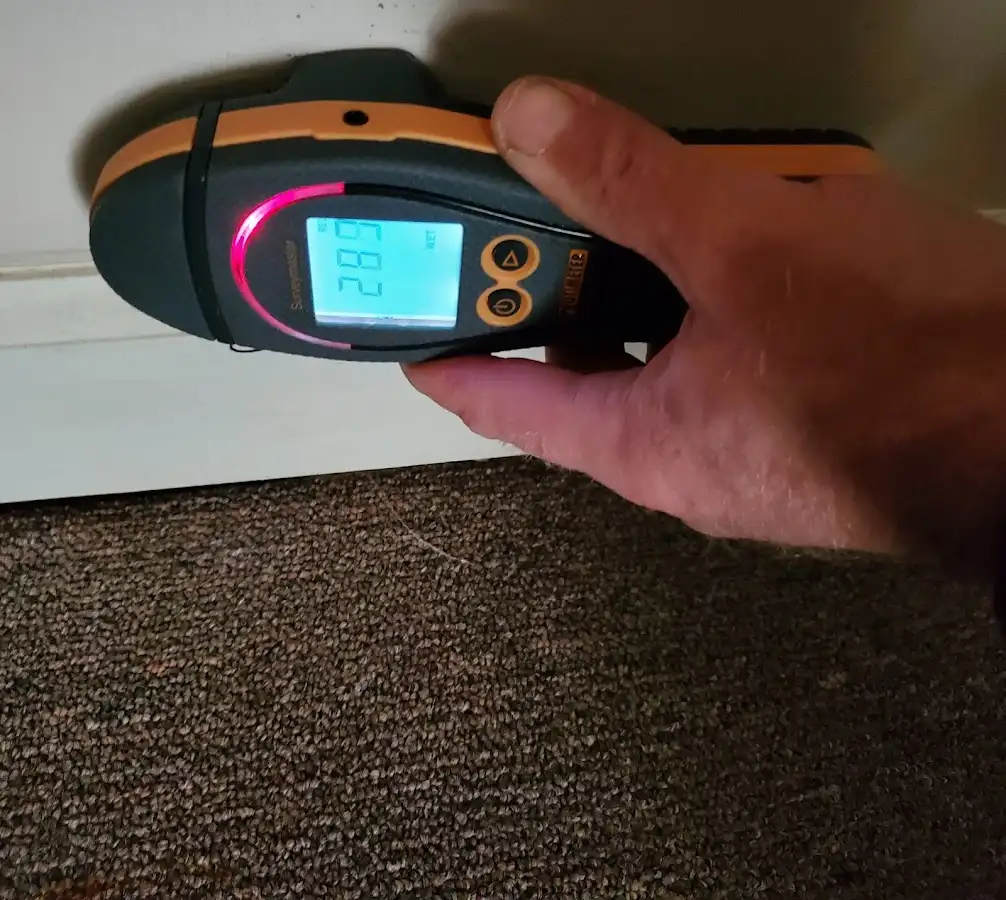 Moisture detection at baseboard during Sewage Cleanup & Sanitation in Thornbury